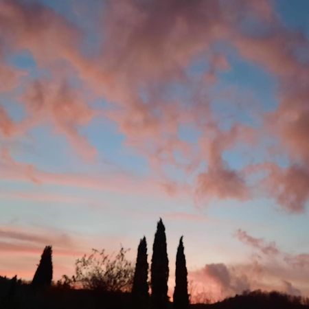 Al Piccolo Ulivo, A Casa Di Mimo&Se Villa Castiglione dʼOrcia Екстериор снимка