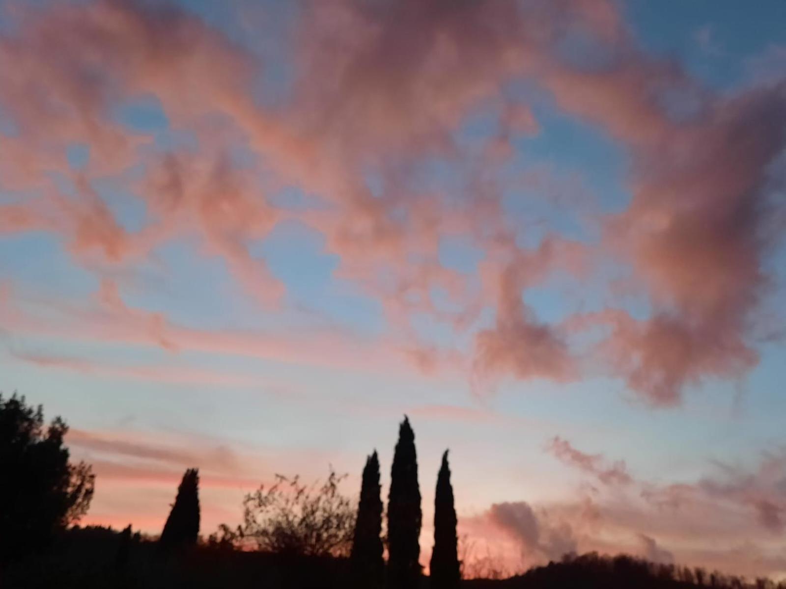 Al Piccolo Ulivo, A Casa Di Mimo&Se Villa Castiglione dʼOrcia Екстериор снимка