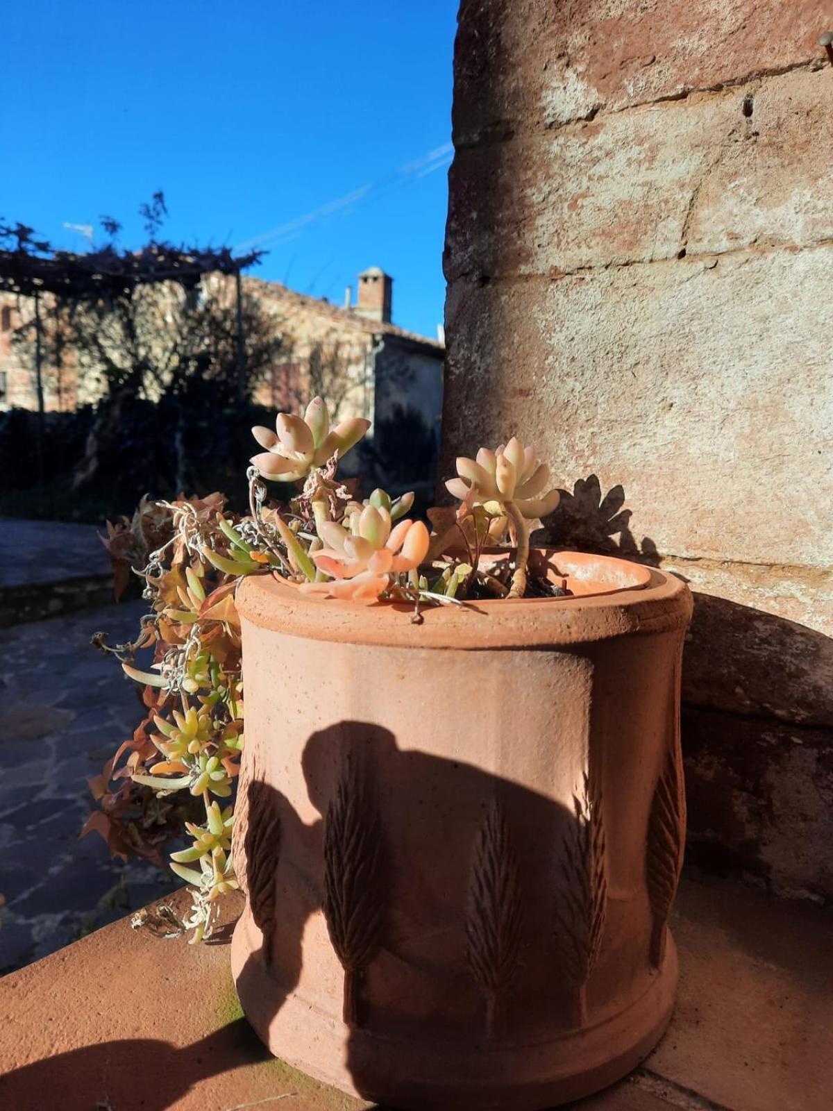 Al Piccolo Ulivo, A Casa Di Mimo&Se Villa Castiglione dʼOrcia Екстериор снимка