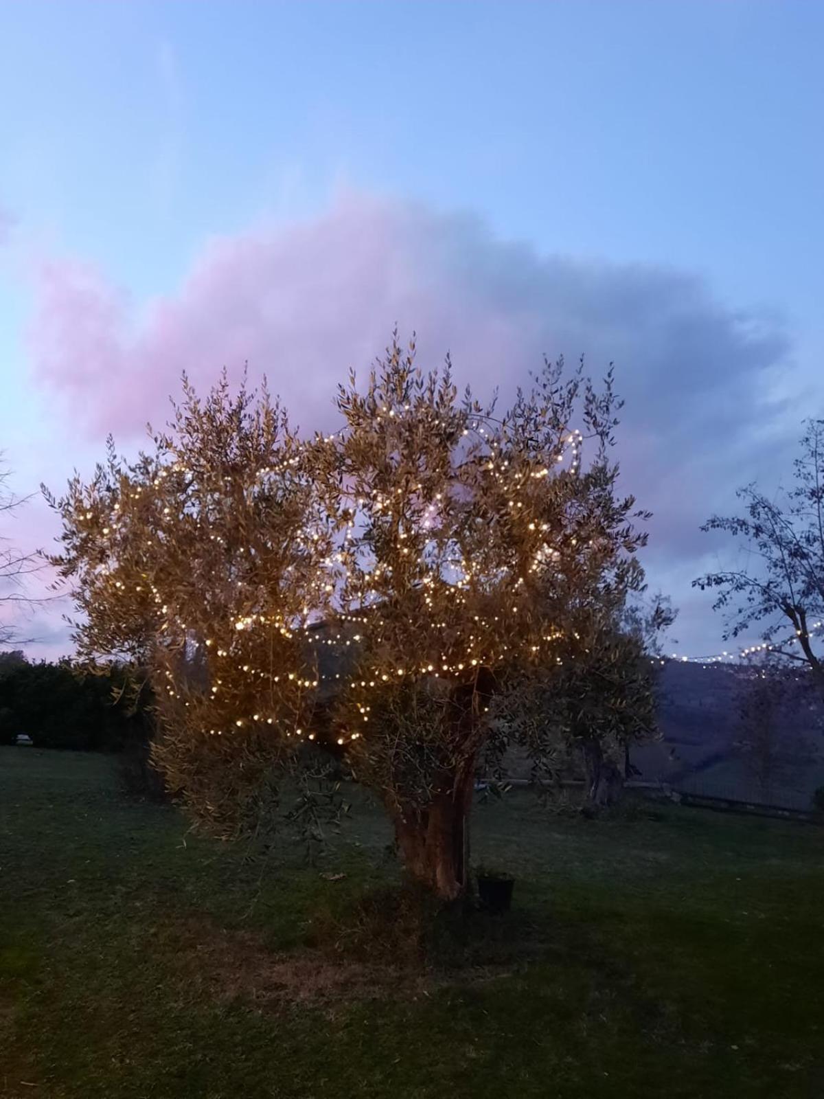 Al Piccolo Ulivo, A Casa Di Mimo&Se Villa Castiglione dʼOrcia Екстериор снимка