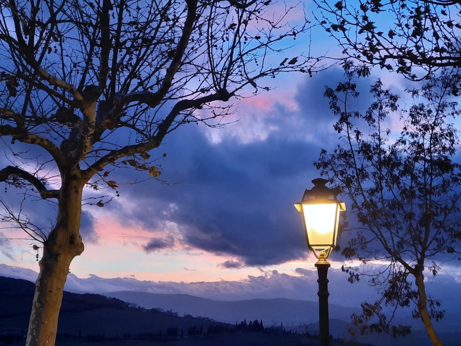 Al Piccolo Ulivo, A Casa Di Mimo&Se Villa Castiglione dʼOrcia Екстериор снимка