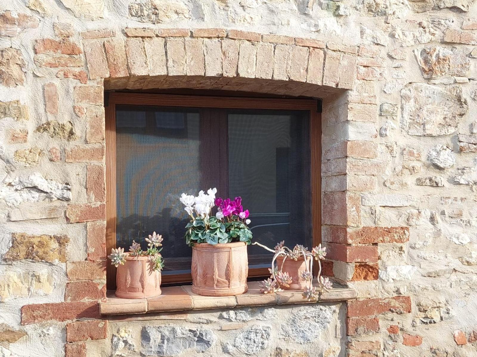 Al Piccolo Ulivo, A Casa Di Mimo&Se Villa Castiglione dʼOrcia Екстериор снимка
