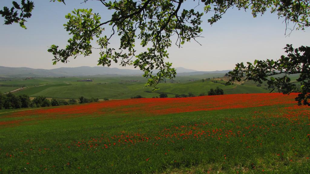 Al Piccolo Ulivo, A Casa Di Mimo&Se Villa Castiglione dʼOrcia Екстериор снимка