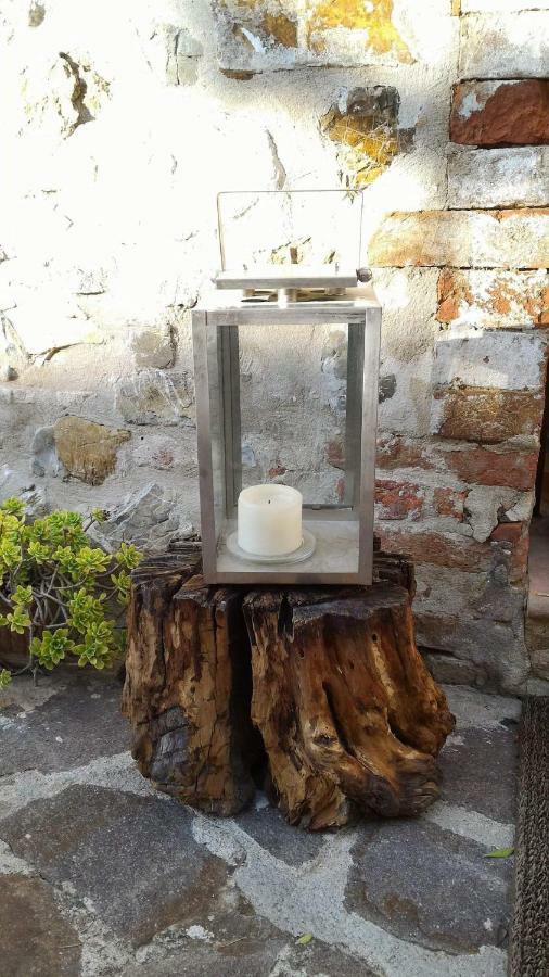 Al Piccolo Ulivo, A Casa Di Mimo&Se Villa Castiglione dʼOrcia Екстериор снимка